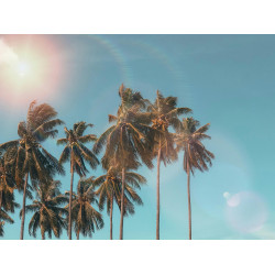 夏日優惠